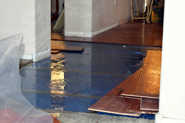 Professional Basement Flood Cleanup technician working in Point Pleasant, PA